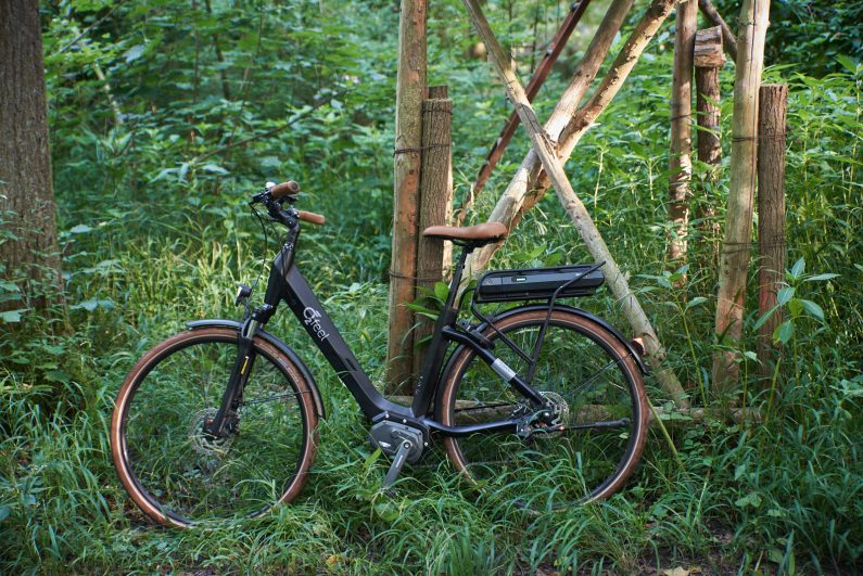 Test vélo électrique vie O2Feel Swan Shimano eSteps