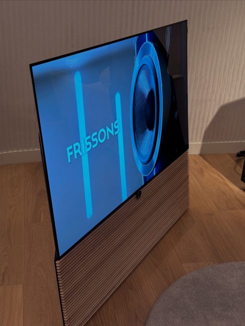 Canvas Hifi Loewe