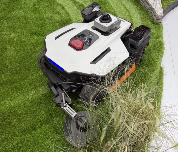 Anthbot